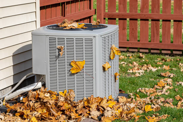 Best Local HVAC Companies  in Jourdanton, TX